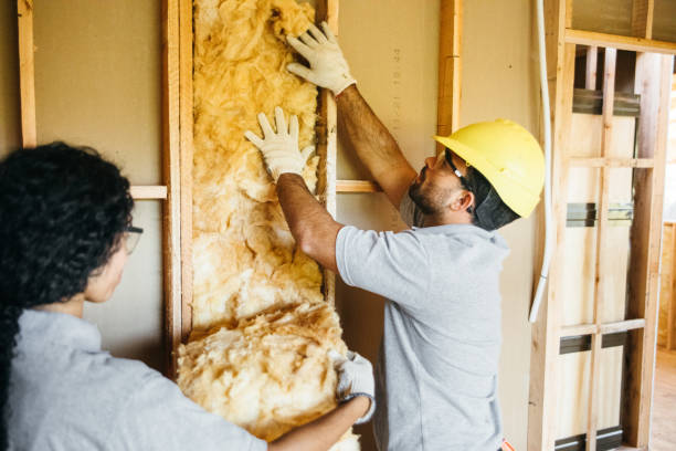 Best Blown-In Insulation  in Bakersfield, CA